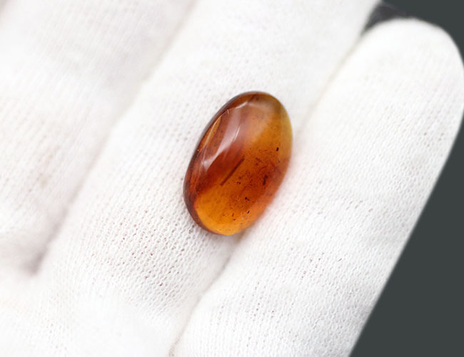 希少性マックス！！一体何の羽毛なのか・・・。およそ1億年前の生物の