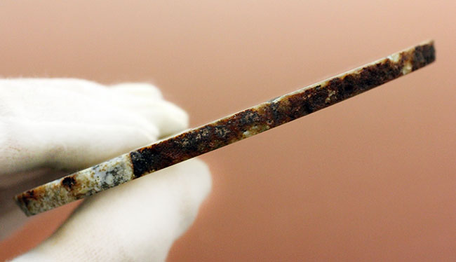 円環状のブラジル産メノウ(Agate)。まさに地球代表。(その5)