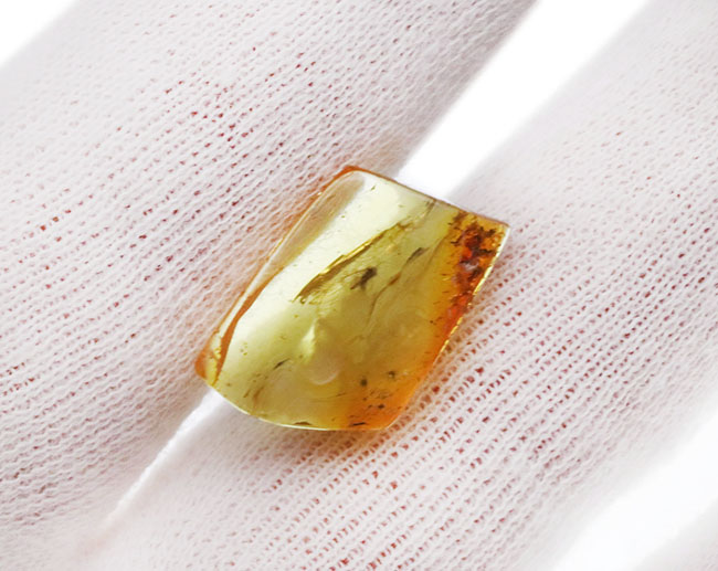 透明度、高い！ユスリカ科の虫が内包されたバルティックアンバー（Amber）（その4）