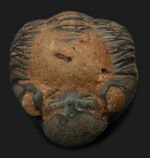 お客様の声　写真