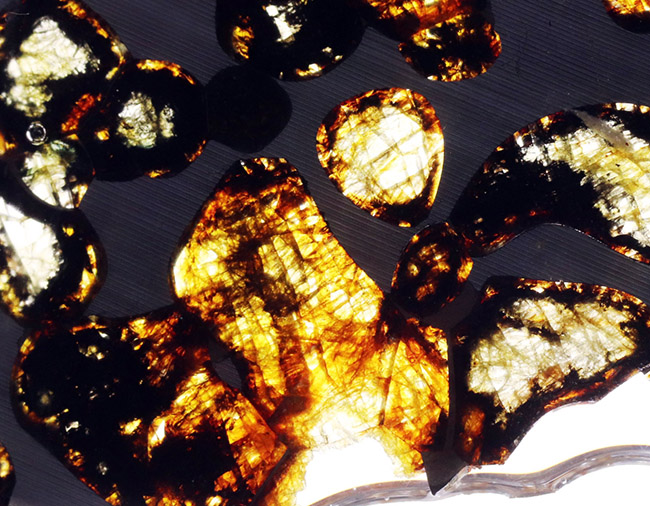 美しいかんらん石にご注目！２０１６年に発見された新しいパラサイト隕石、ケニヤ産パラサイト隕石。専用保管ケース付き。（本体防錆処理済み）（その4）