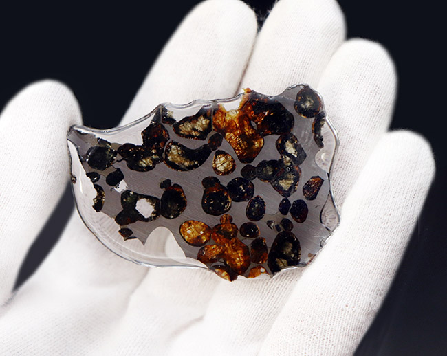 美しいかんらん石にご注目！２０１６年に発見された新しいパラサイト隕石、ケニヤ産パラサイト隕石。専用保管ケース付き。（本体防錆処理済み）（その6）