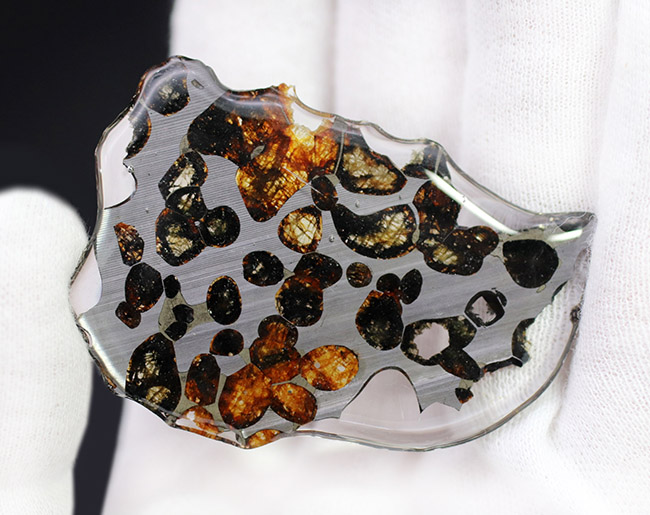 美しいかんらん石にご注目！２０１６年に発見された新しいパラサイト隕石、ケニヤ産パラサイト隕石。専用保管ケース付き。（本体防錆処理済み）（その7）