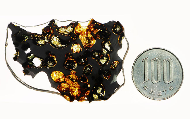 美しいかんらん石にご注目！２０１６年に発見された新しいパラサイト隕石、ケニヤ産パラサイト隕石。専用保管ケース付き。（本体防錆処理済み）（その9）