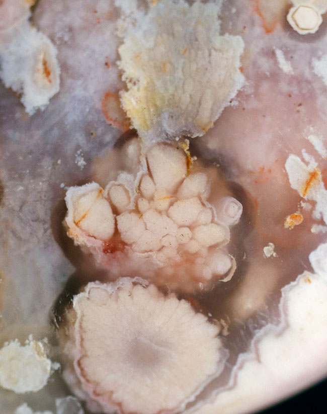桜の花びらのような模様が可愛いらしいピンクメノウ(Agate)(その5)