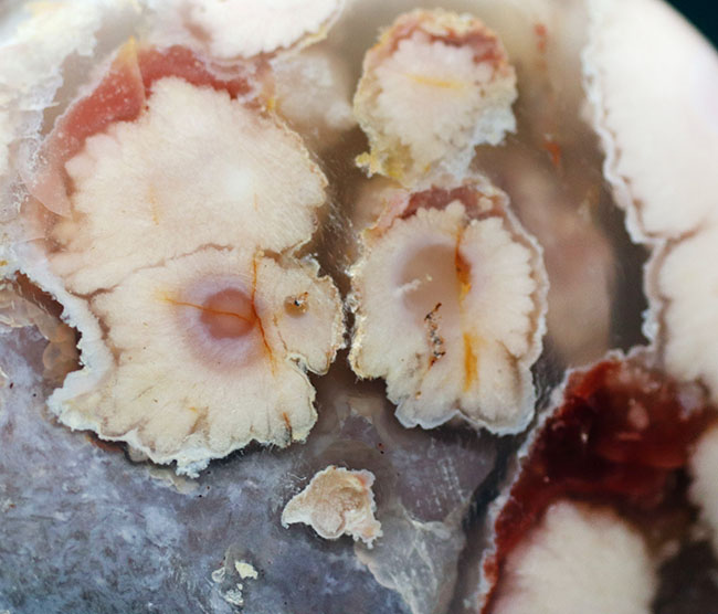 桜の花びらのような模様が可愛いらしいピンクメノウ(Agate)(その8)