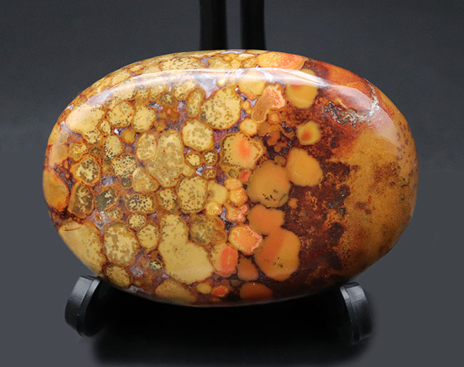 パーフェクト！ヘビの鱗のような模様が特徴的なキングコブラオービキュラージャスパー（Orbicular Jasper）（その1）