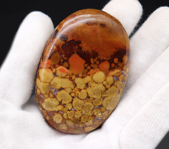 パーフェクト！ヘビの鱗のような模様が特徴的なキングコブラオービキュラージャスパー（Orbicular Jasper）（その2）