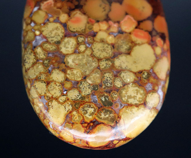 パーフェクト！ヘビの鱗のような模様が特徴的なキングコブラオービキュラージャスパー（Orbicular Jasper）（その5）