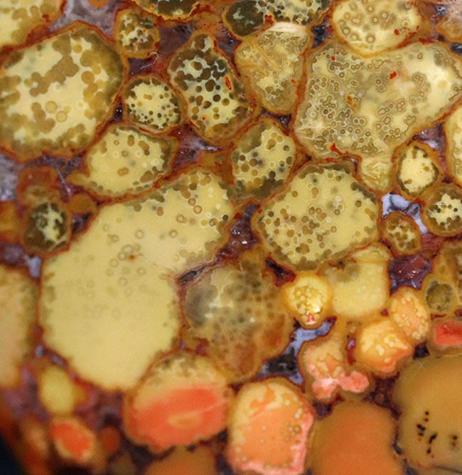 パーフェクト！ヘビの鱗のような模様が特徴的なキングコブラオービキュラージャスパー（Orbicular Jasper）（その7）