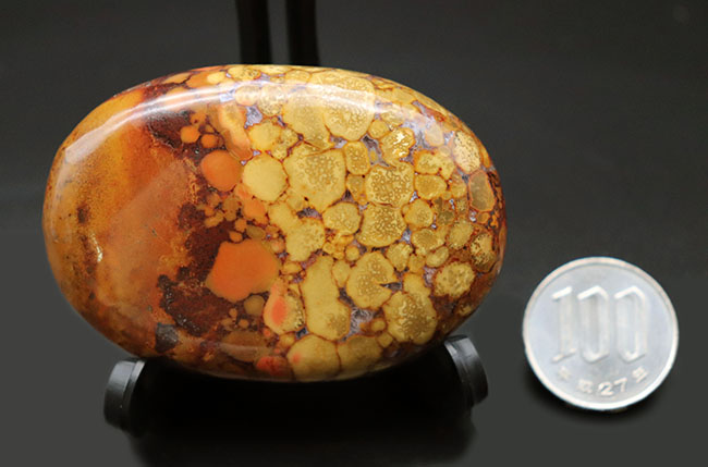 パーフェクト！ヘビの鱗のような模様が特徴的なキングコブラオービキュラージャスパー（Orbicular Jasper）（その9）