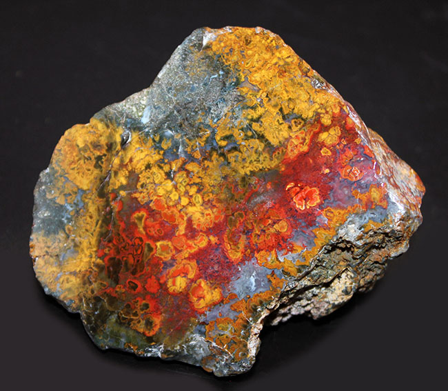 色彩美!重量感のある、ハンガリー産のストロマトライトを含むメノウ(Agate)(その1)