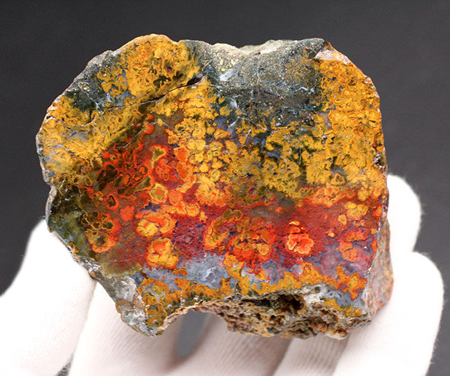 色彩美!重量感のある、ハンガリー産のストロマトライトを含むメノウ(Agate)(その5)