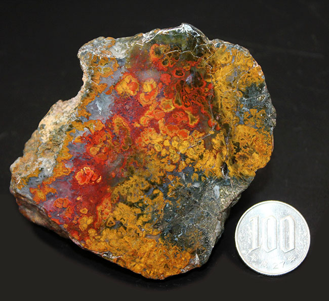色彩美!重量感のある、ハンガリー産のストロマトライトを含むメノウ(Agate)(その8)