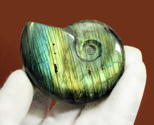 上質なラブラドレッセンス!輝きの強さは一目瞭然。アンモナイトシェイプの鉱物ラブラドライト(Labradorite)(その3)