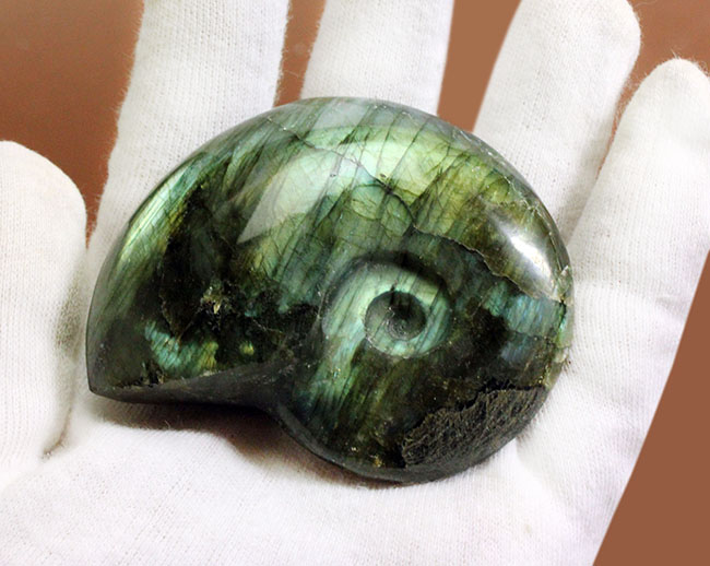 上質なラブラドレッセンス!輝きの強さは一目瞭然。アンモナイトシェイプの鉱物ラブラドライト(Labradorite)(その4)