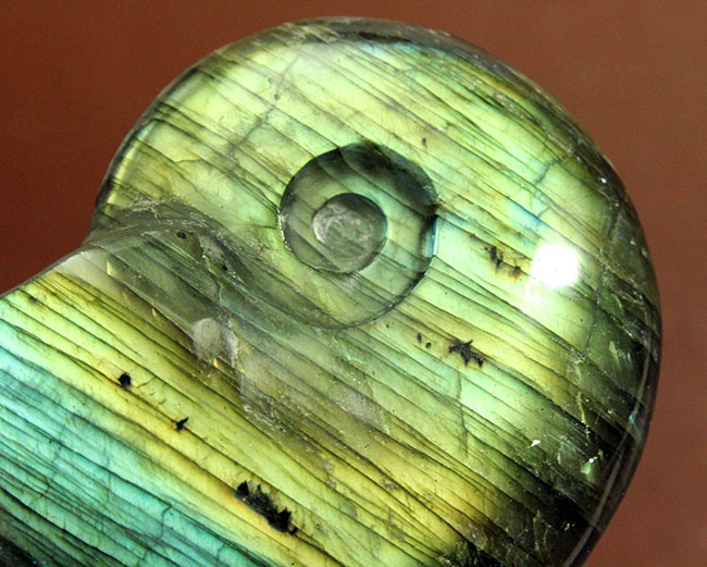 上質なラブラドレッセンス!輝きの強さは一目瞭然。アンモナイトシェイプの鉱物ラブラドライト(Labradorite)(その6)
