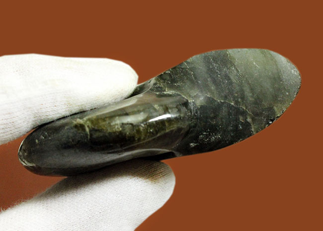 上質なラブラドレッセンス!輝きの強さは一目瞭然。アンモナイトシェイプの鉱物ラブラドライト(Labradorite)(その7)