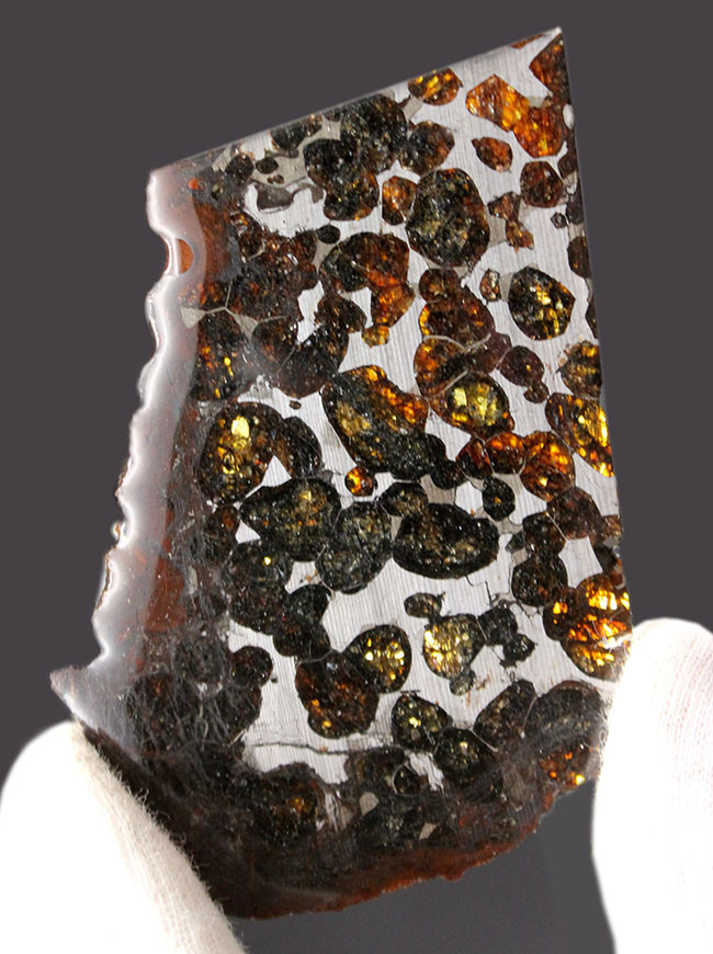 かんらん石の保存状態が素晴らしい！２０１６年に発見された新しいパラサイト隕石、ケニヤ産パラサイト隕石（本体防錆処理済み）（その1）