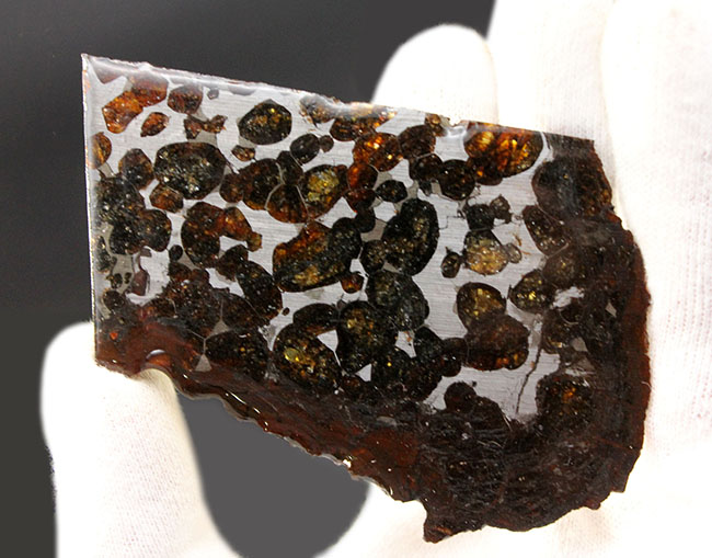 かんらん石の保存状態が素晴らしい！２０１６年に発見された新しいパラサイト隕石、ケニヤ産パラサイト隕石（本体防錆処理済み）（その3）