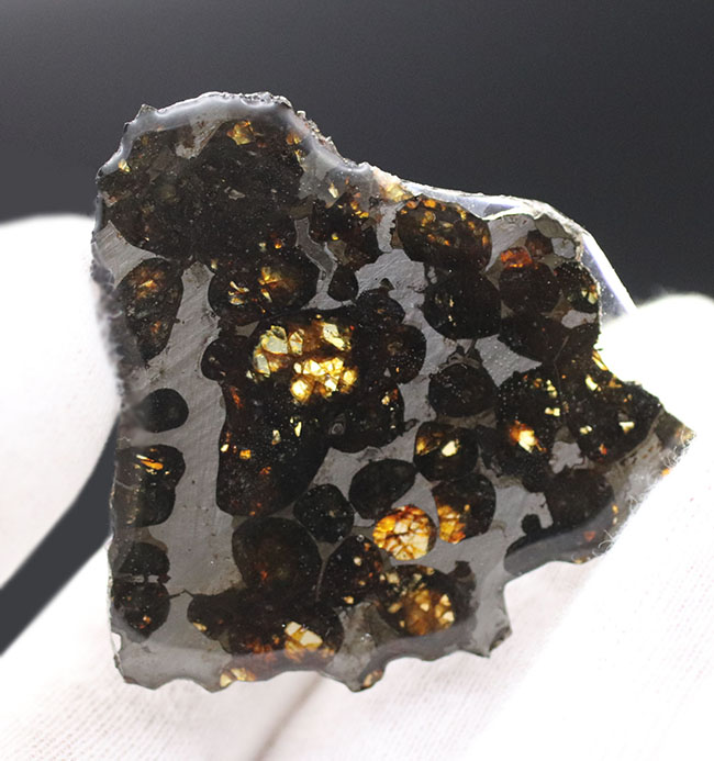 極めて上質、ナイスピース！２０１６年に発見された、新しいケニヤ産パラサイト隕石（本体防錆処理済み）（その3）