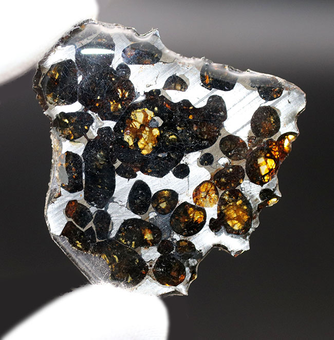 極めて上質、ナイスピース！２０１６年に発見された、新しいケニヤ産パラサイト隕石（本体防錆処理済み）（その6）