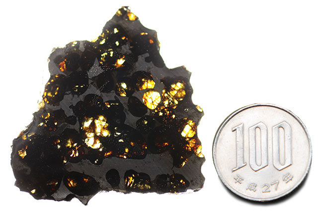 極めて上質、ナイスピース！２０１６年に発見された、新しいケニヤ産パラサイト隕石（本体防錆処理済み）（その8）