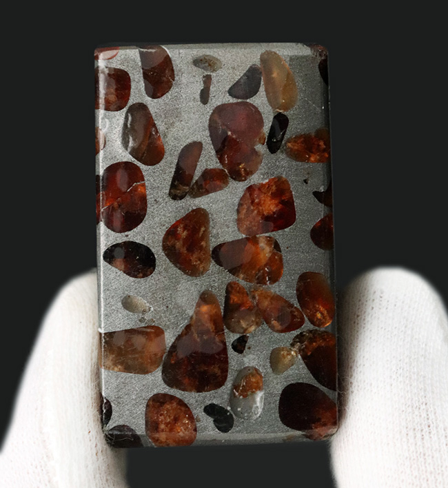 ワンランク上の保存状態！人気のキューブ型標本、重量感あふれる高級なパラサイト隕石（その1）