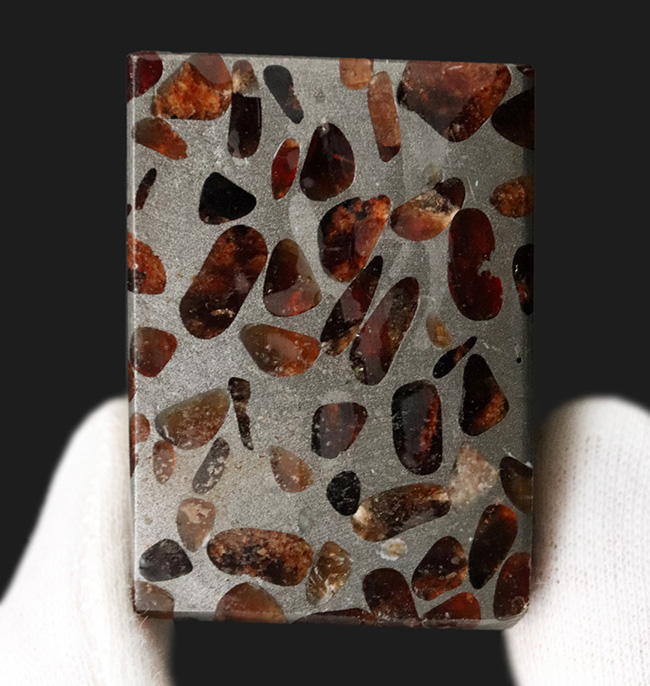 ワンランク上の保存状態！人気のキューブ型標本、重量感あふれる