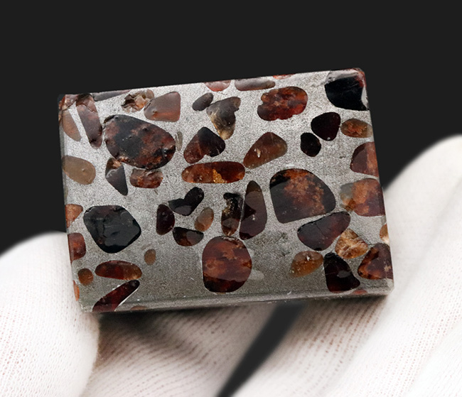 ワンランク上の保存状態！人気のキューブ型標本、重量感あふれる高級なパラサイト隕石（その5）
