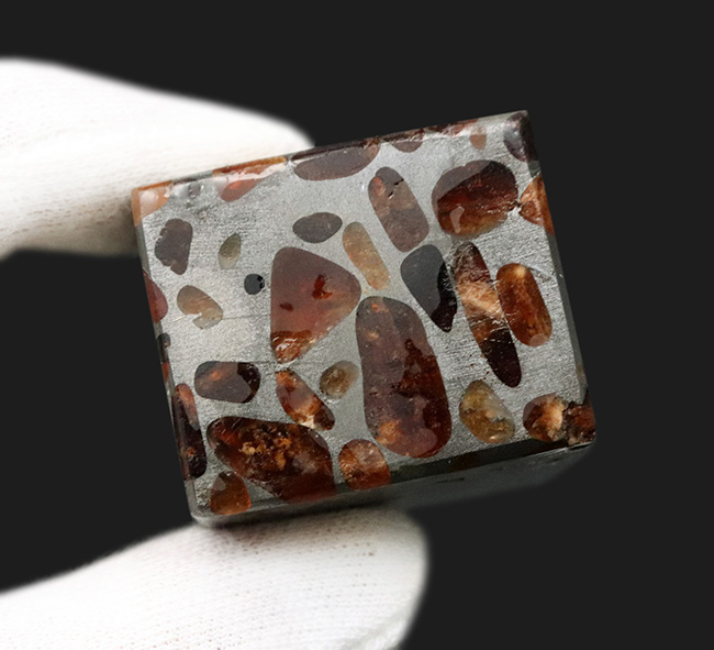 ワンランク上の保存状態！人気のキューブ型標本、重量感あふれる高級なパラサイト隕石（その6）