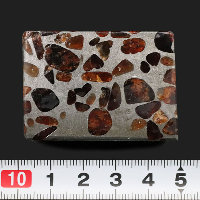 ワンランク上の保存状態！人気のキューブ型標本、重量感あふれる高級なパラサイト隕石（その7）