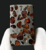 ワンランク上の保存状態！人気のキューブ型標本、重量感あふれる高級なパラサイト隕石