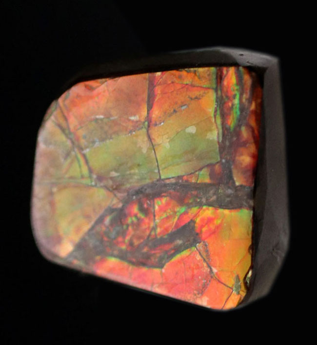 緑と朱に輝く良質のアンモライト（Ammolite）のピースを使ったピンブローチ（その1）