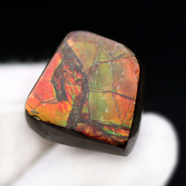 緑と朱に輝く良質のアンモライト（Ammolite）のピースを使ったピンブローチ（その2）