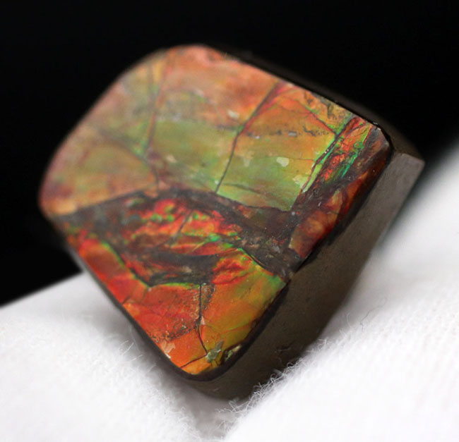 緑と朱に輝く良質のアンモライト（Ammolite）のピースを使ったピンブローチ（その3）