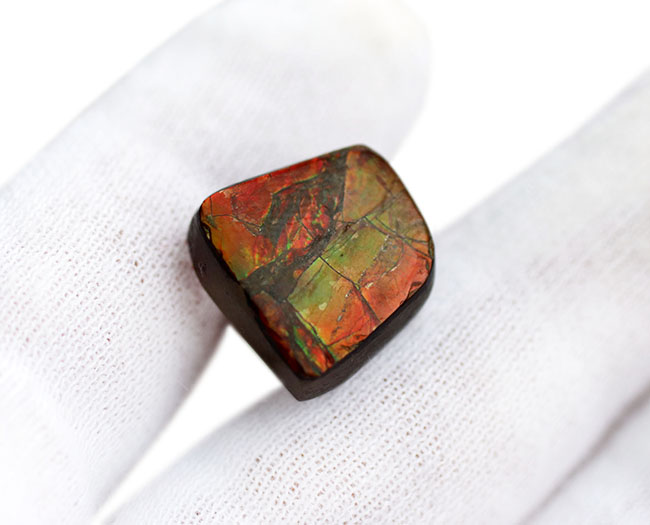 緑と朱に輝く良質のアンモライト（Ammolite）のピースを使ったピンブローチ（その4）