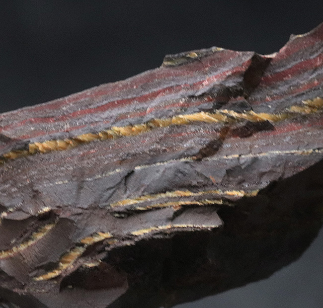 ３５億年前の活動履歴、オーストラリア・ハマースレイ産のカラフルなストロマトライト（Stromatolite）。縞状鉄鉱層にご注目ください（その4）
