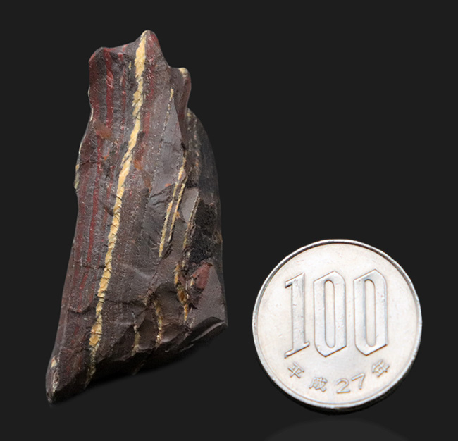 35億年前の活動履歴、オーストラリア・ハマースレイ産のカラフルなストロマトライト(Stromatolite)。縞状鉄鉱層にご注目ください(その6)