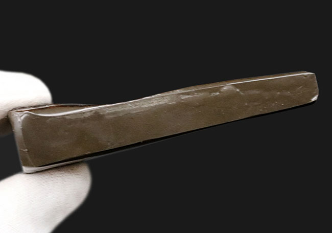 ドラゴンスキン!竜の鱗に例えられる美しい模様!カナダ産アンモライト(Ammolite)(その9)