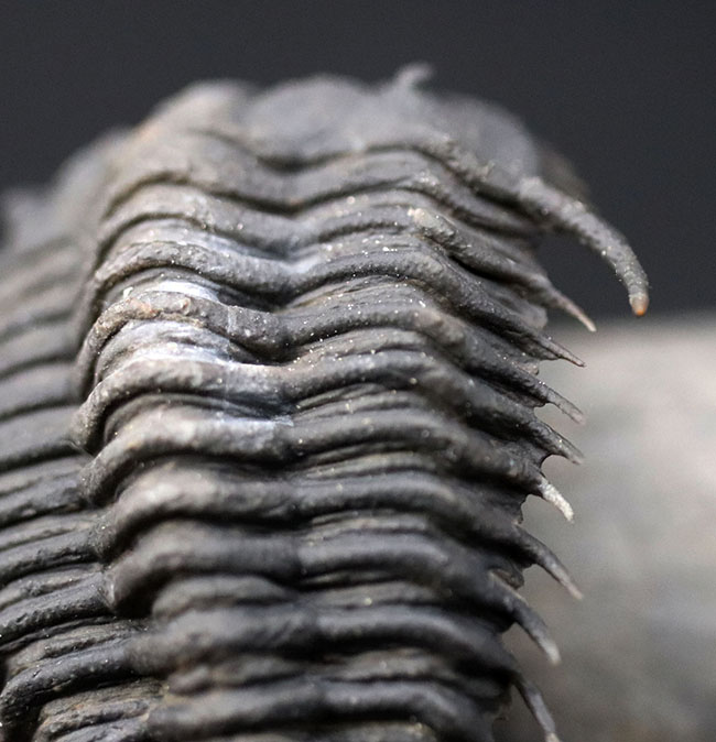 超希少種！ヘビーコレクター垂涎品！スーパー3Dクリーニングが施され