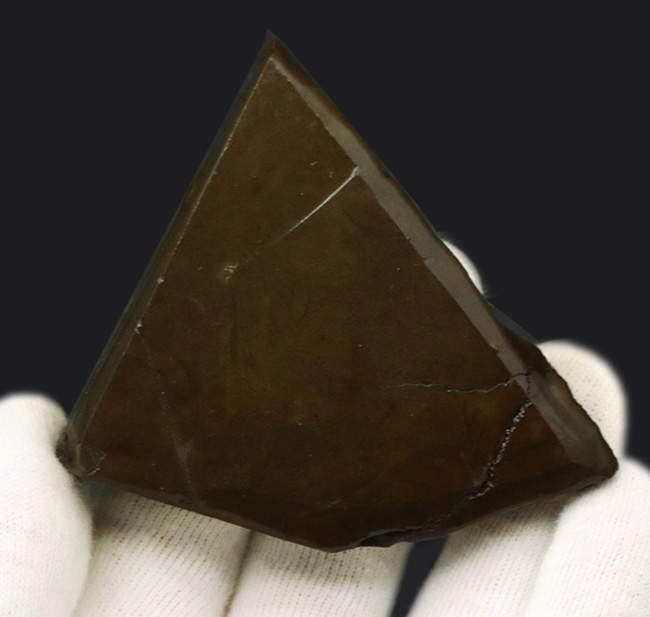 カナダ・アルバータ州でのみ採集される宝石、アンモライト（Ammolite）の美しきピース（その5）
