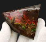 カナダ・アルバータ州でのみ採集される宝石、アンモライト（Ammolite）の美しきピース