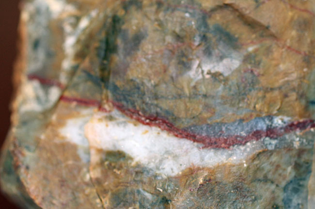 中生代ジュラ紀の恐竜の糞（ふん）の化石、コプロライト（Coprolite）（その6）