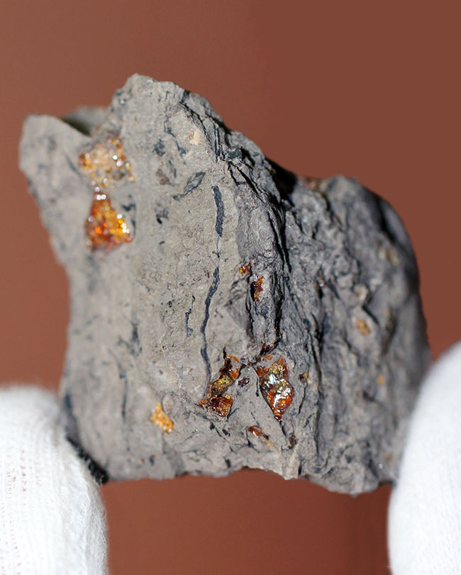 珍しい国産琥珀。新生代古第三紀の琥珀(Amber)。兵庫県産です。(その1)