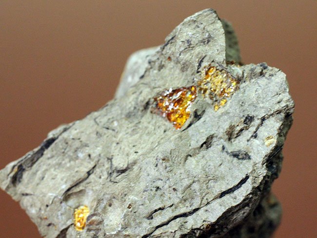 珍しい国産琥珀。新生代古第三紀の琥珀(Amber)。兵庫県産です。(その2)