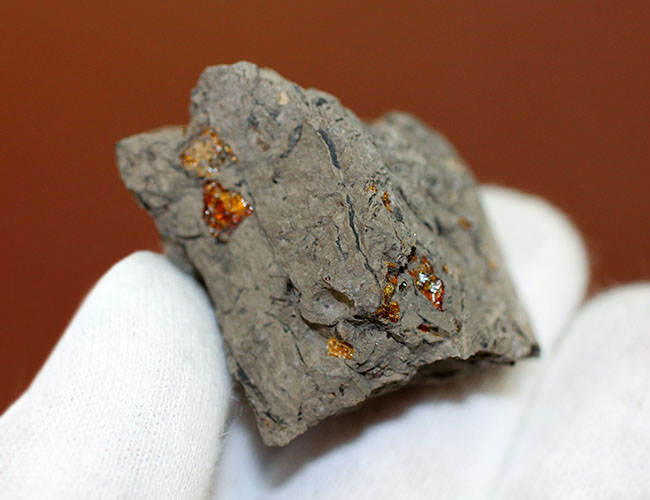 珍しい国産琥珀。新生代古第三紀の琥珀(Amber)。兵庫県産です。(その3)