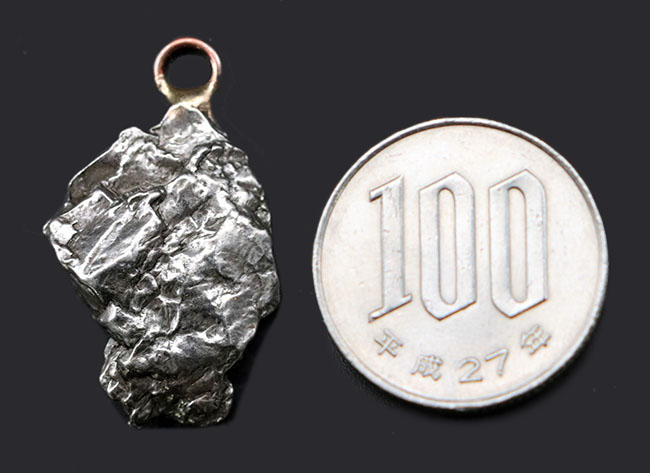 小惑星ベルトより飛来した鉄隕石、カンポ・デル・シエロ（Campo del Cielo）鉄隕石のペンダントトップ。革紐、高級ジュエリーケース付き（その7）