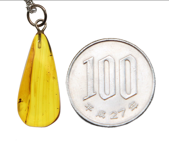 およそ4000万年前の小さな蜘蛛が内包されたバルティックアンバーを使ったペンダントトップ(シルバーチェーン、高級ジュエリーケース付き)(その6)