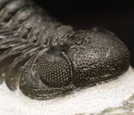 お客様の声　写真